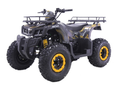 MOTAX ATV GRIZLIK T200 Черно-желтый камуфляж VIN L9NACMEJ8P1212106