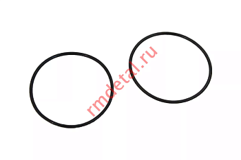 Кольцо уплотнительное впускного коллектора 110500107 (2 шт)