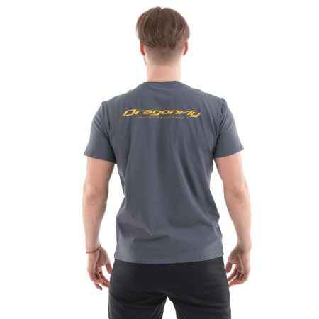 Футболка с принтом Dragonfly Snow Man цвет серый (S)
