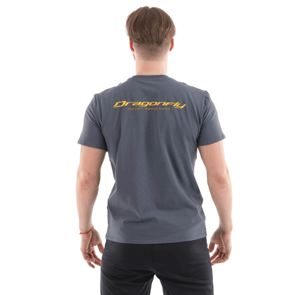 Футболка с принтом Dragonfly Snow Man цвет серый (S)