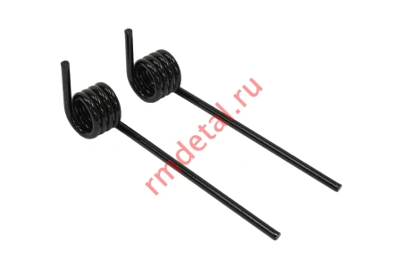 Пружины задней подвески 110200139 (2 шт)