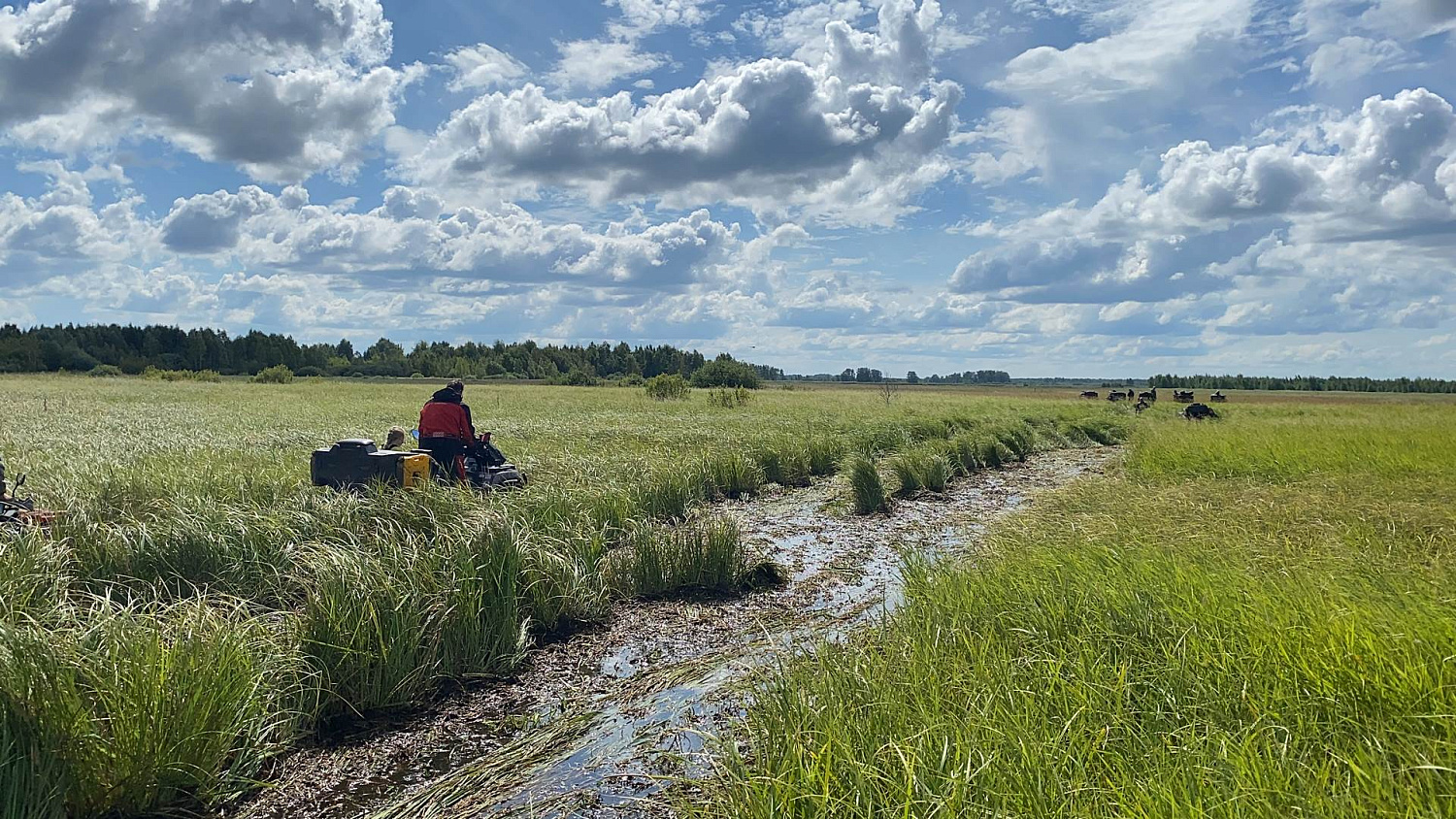 Квадровыезд на CFMOTO CFORCE 1000 MV