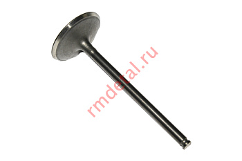 Клапан выпускной 21050100501 (Frontier 1000)