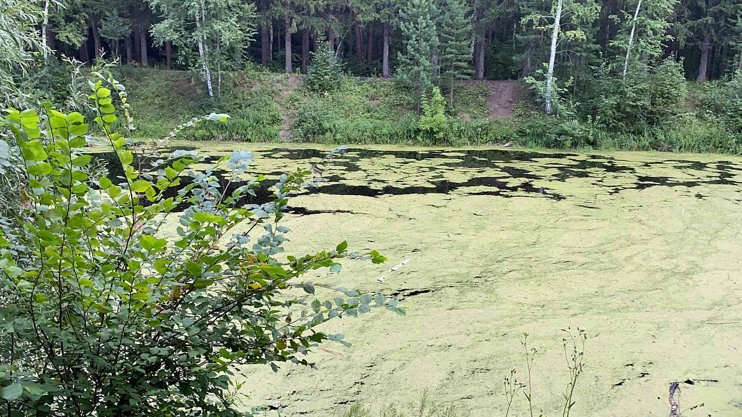 Поездка на квадроцикле "Русская механика" РМ 800Т