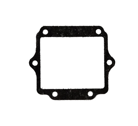 Комплект прокладок для двигателя РМЗ-550 C40502640