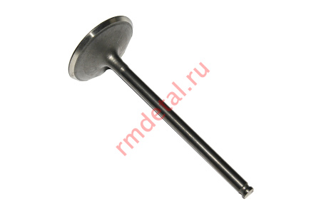 Клапан выпускной 21050100501 (Frontier 1000)