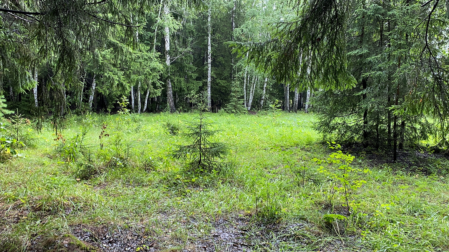 Отчёт: Квадровыезд на РМ 800Т