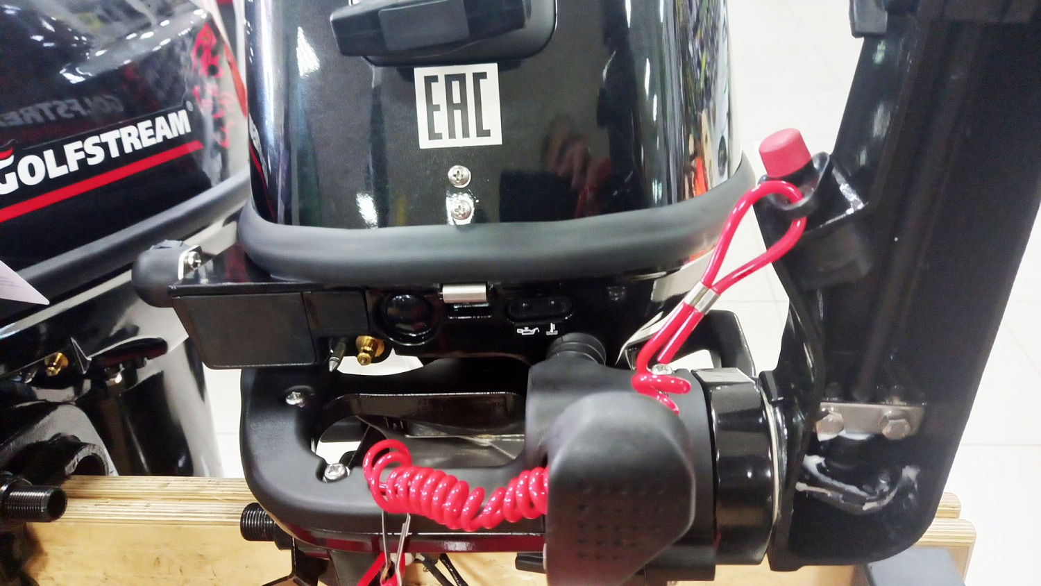 Лодочный мотор Golfstream F9.9ABMS Enduro