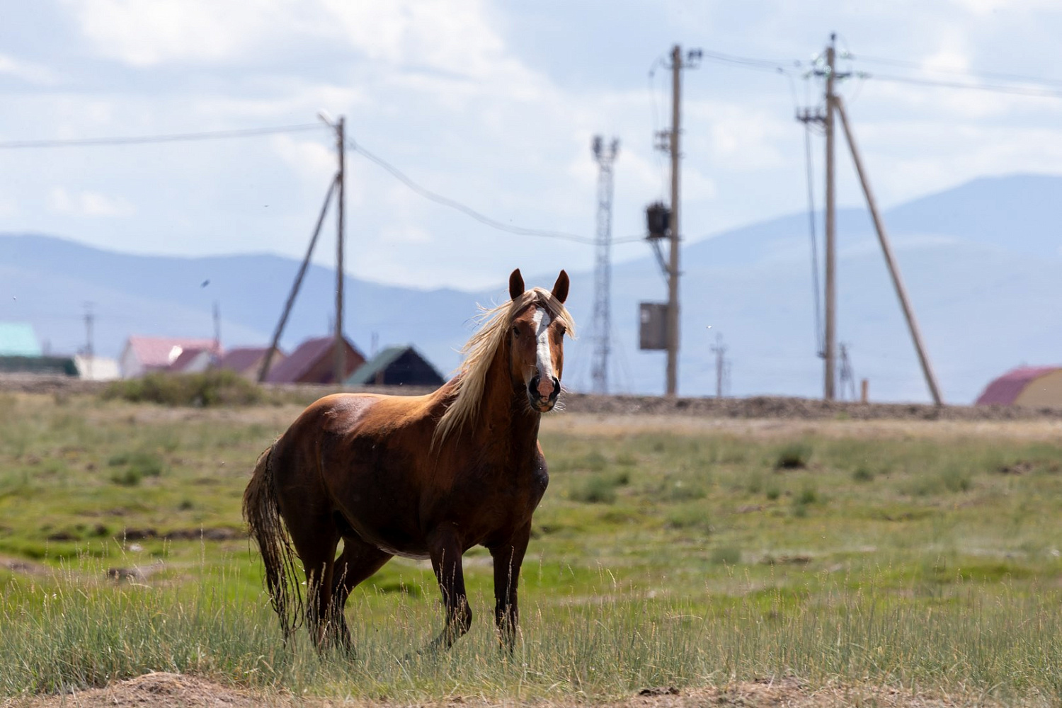 Как приручить «тигра»: победа «Русской механики» в рамках международного ралли «Шёлковый путь»