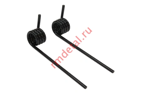 Пружины задней подвески 110200141 (2 шт)