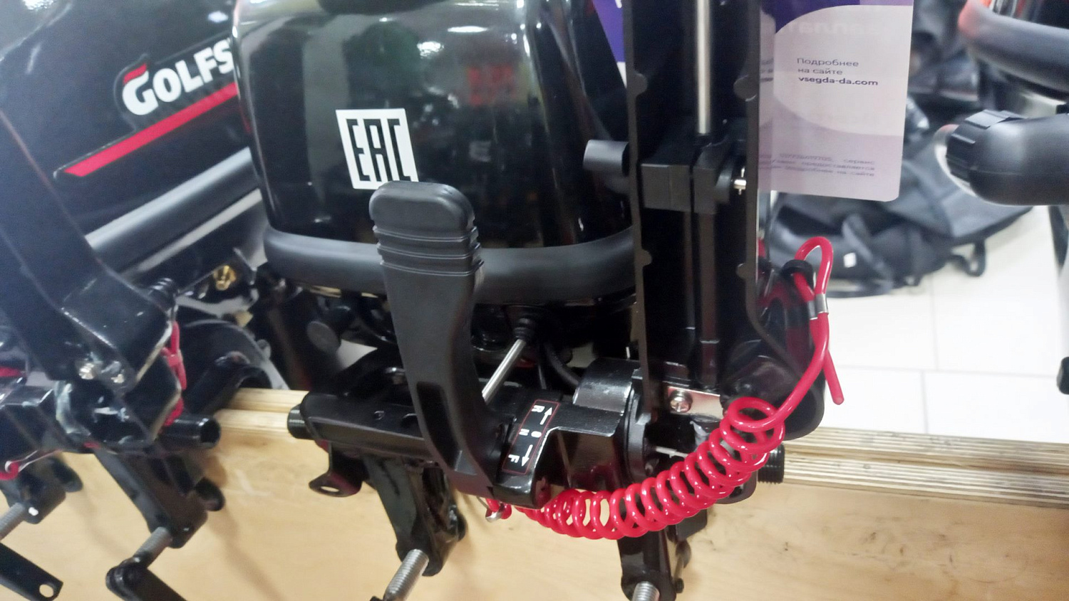 Лодочный мотор Golfstream T9.9BMS (USB)