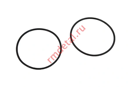 Кольцо уплотнительное впускного коллектора 110500107 (2 шт)