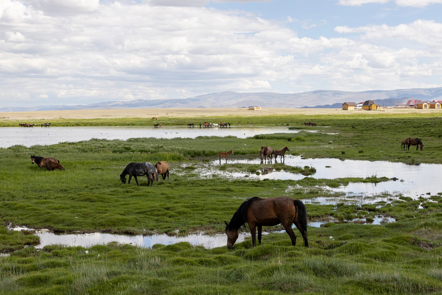 Как приручить «тигра»: победа «Русской механики» в рамках международного ралли «Шёлковый путь»